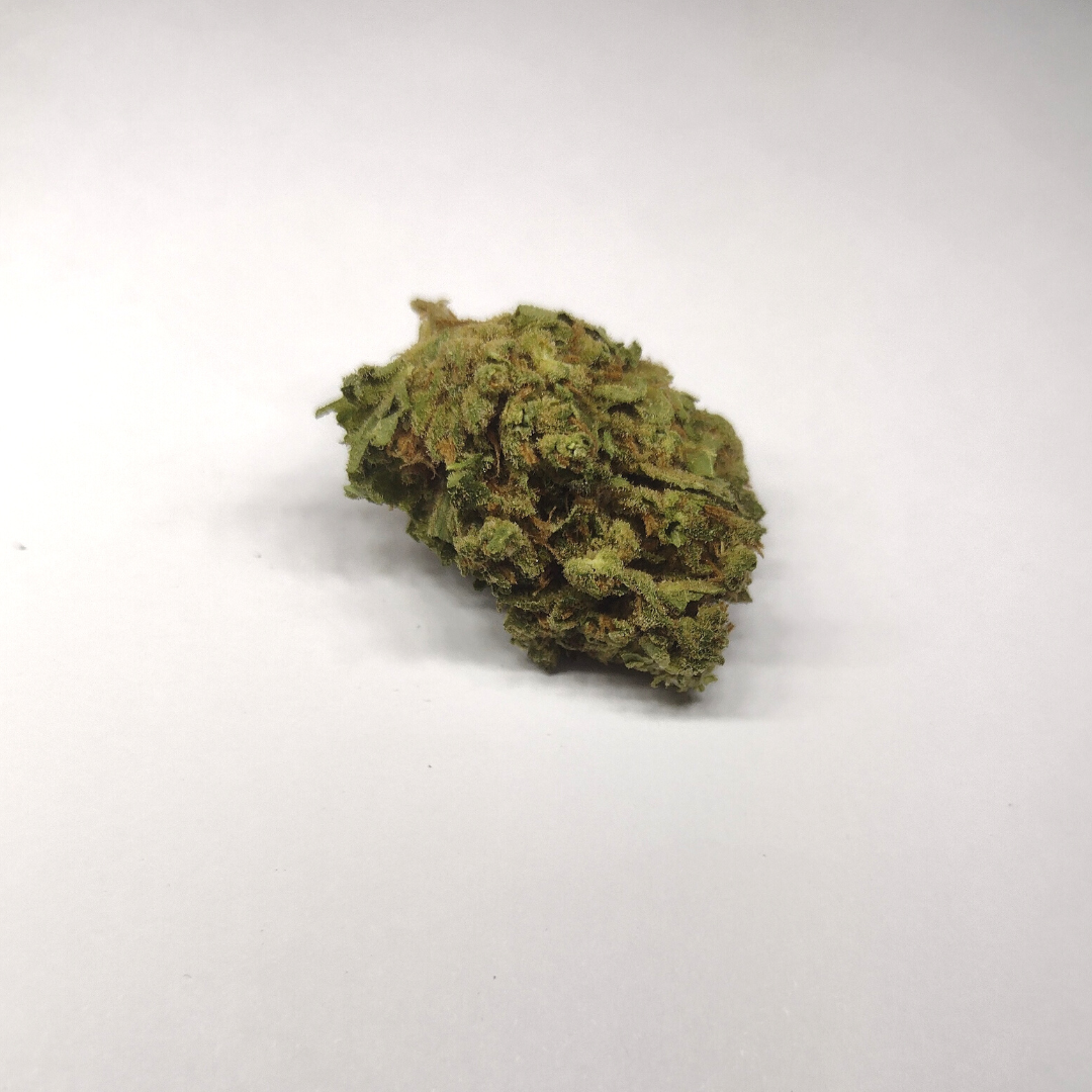 Chocolope