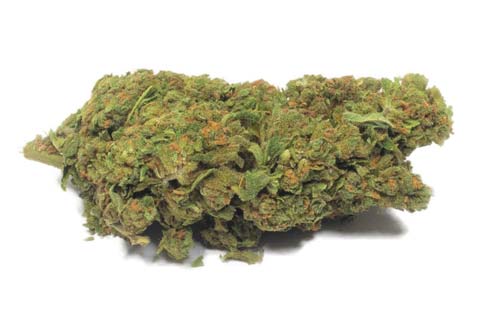 Gelato