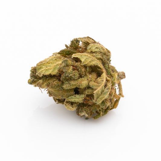 Jack Herer EU